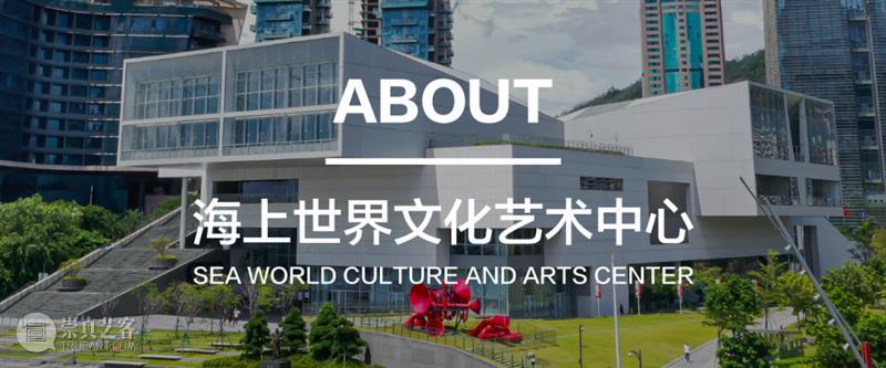 新展预告 | 振动的云层 博文精选 探索策展未来的 云层 新展 策展 计划 策展人 平台 对策 社会 文化 全球 崇真艺客